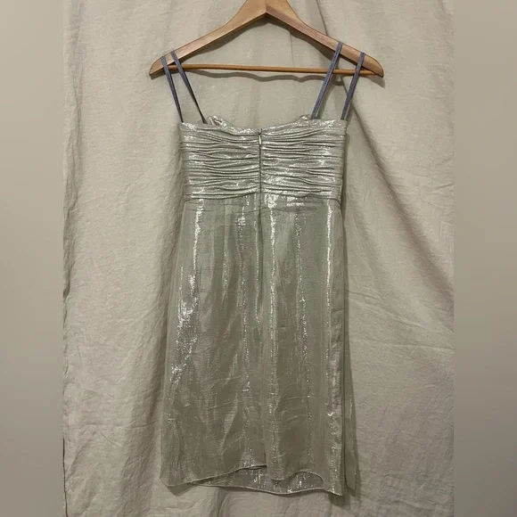 Silver Silk Vera Wang Strapless Dress - Picture 2 of 8